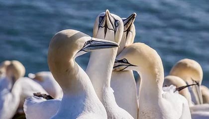 开云官网-这球可惜！C罗精彩凌空弹射，但皮球击中横梁